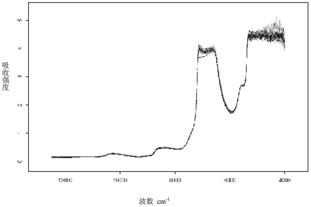 Rapid detection method for taurine content in marine product processing process