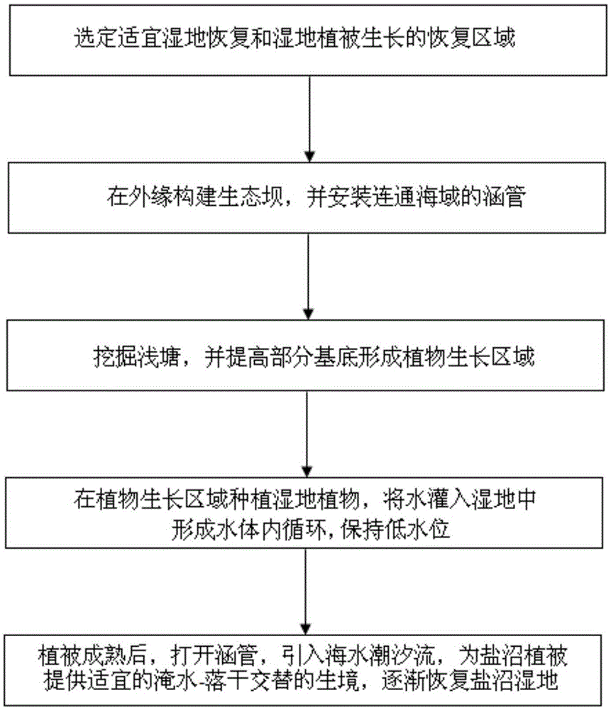 Method for recovering intertidal zone salt marsh wetland