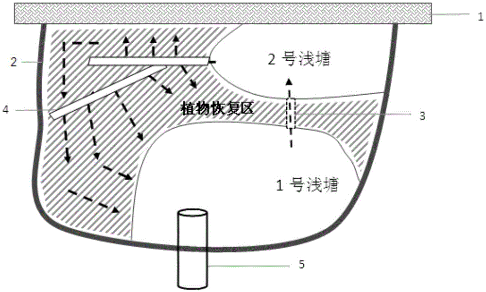 Method for recovering intertidal zone salt marsh wetland