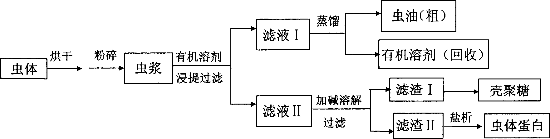 Process for extracting bread worm protein