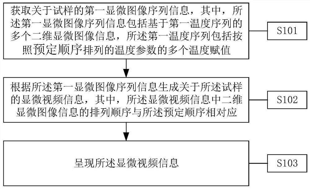 Method and equipment for presenting microscopic video information