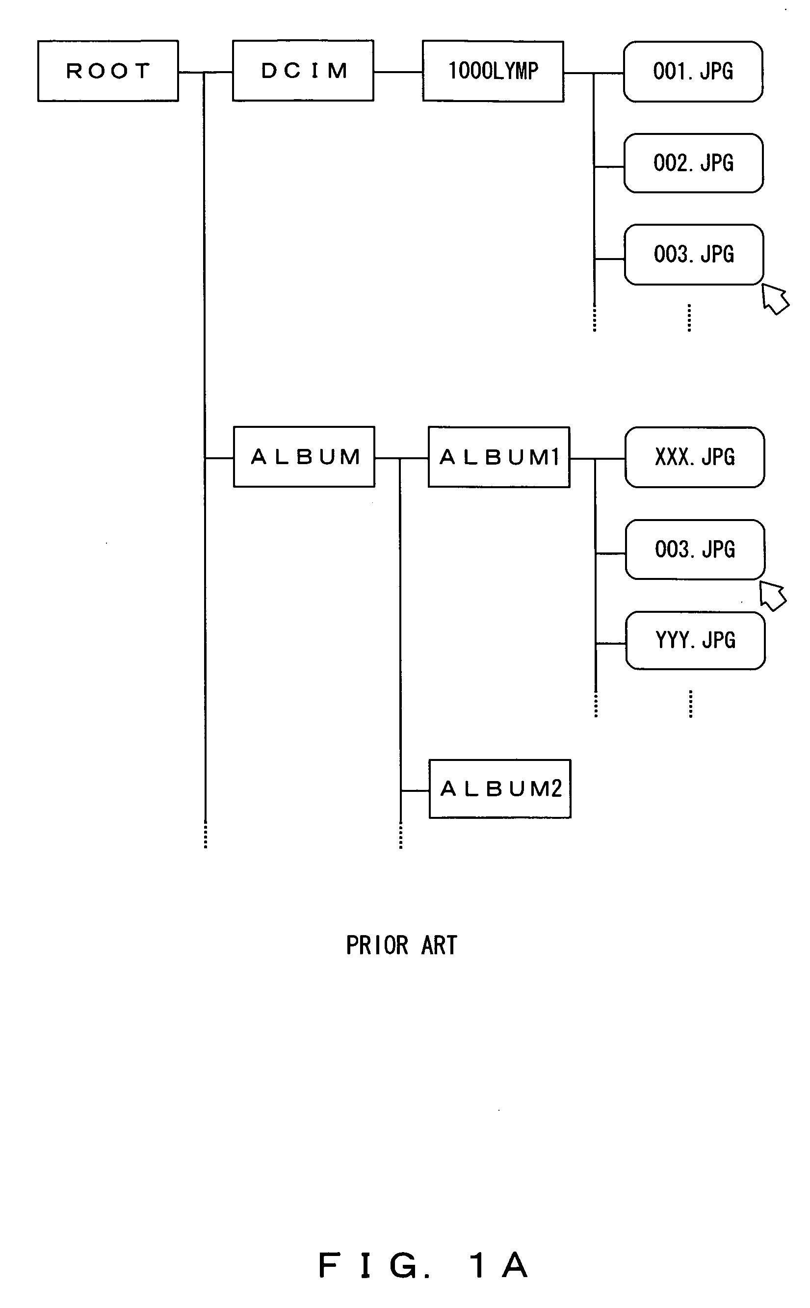 Image management apparatus and image managing method