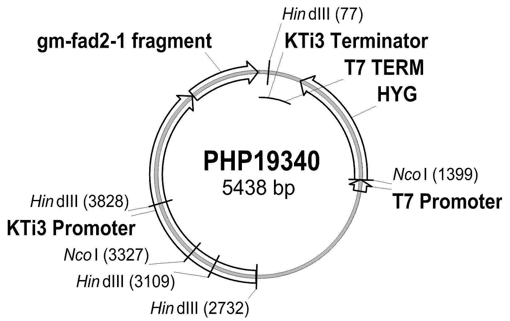 Soybean event dp-305423-1 and compositions and methods for the identification and/or detection thereof