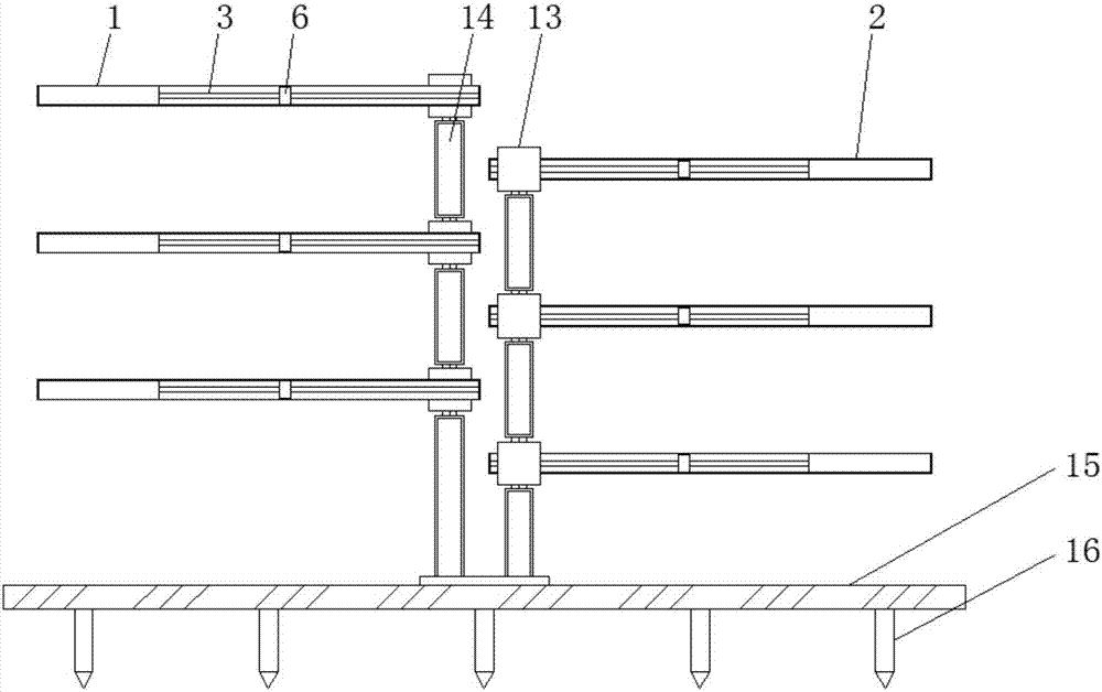 Seedling fixing device for maidenhair tree planting