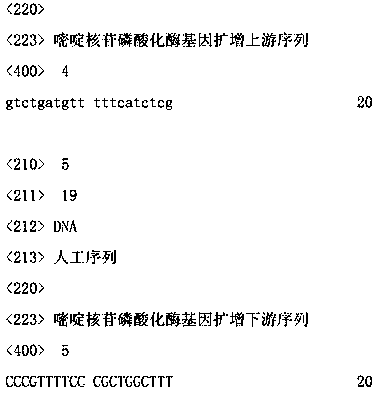 A kind of pyrimidine nucleoside phosphorylase gene and its application