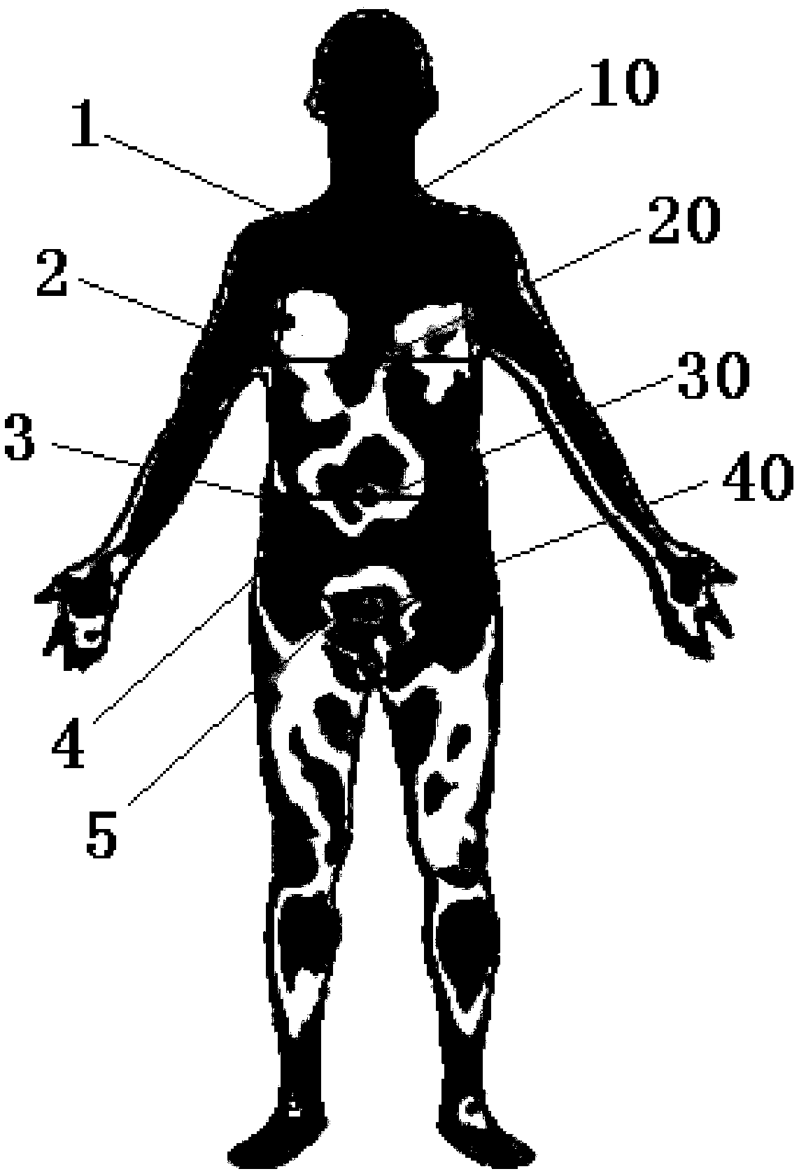 Traditional Chinese medicine digital visualization system and method