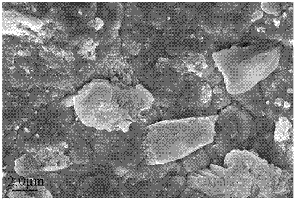 Method for preparing Ni/CeO2 composite hydrogen evolution electrode