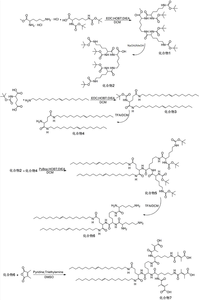 Programmed multi-targeting dendrimer assembly drug delivery system and its preparation method and application