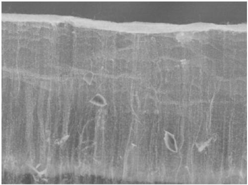 Copper-filled carbon nanotube array-based composite material and preparation method thereof