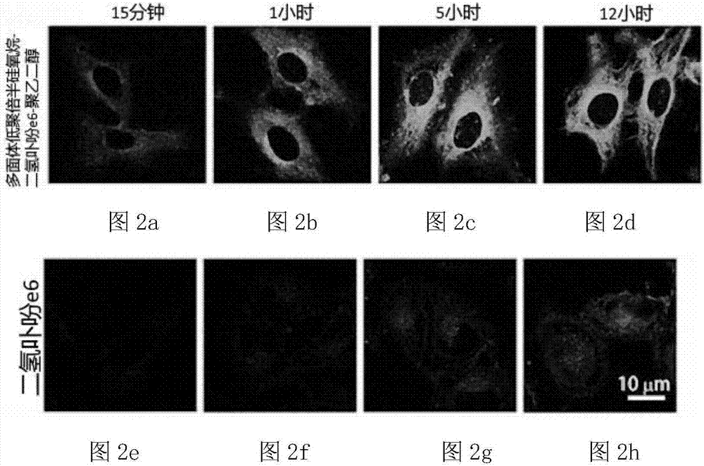 Phototherapy nano preparation based on chemical cross-linking as well as preparation method and application thereof