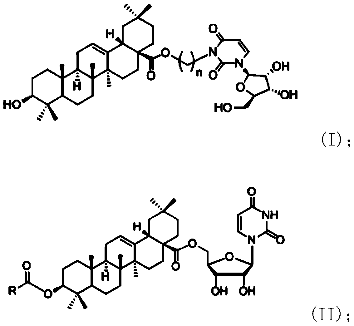 Oleanolic acid-uridine conjugate as well as preparation method and application thereof