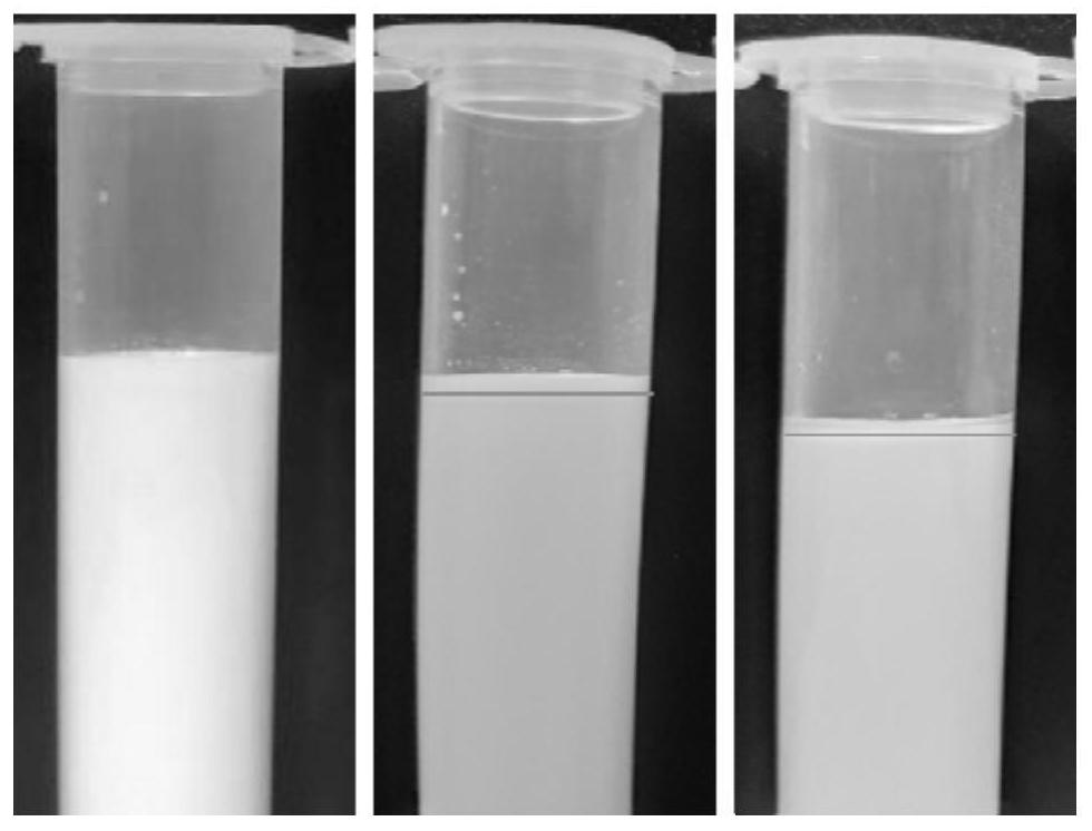 Preparation method and application of casein sodium-polyglycerol fatty acid ester complex