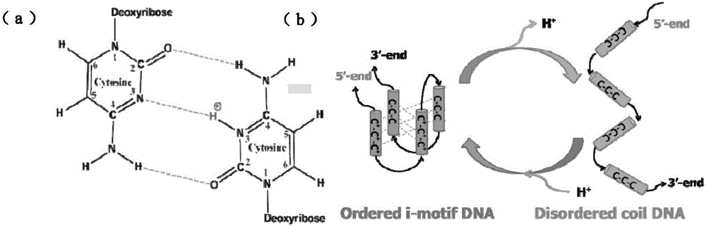 Method determining single molecule chain charge state evolution in polyelectrolyte conformation conversion process