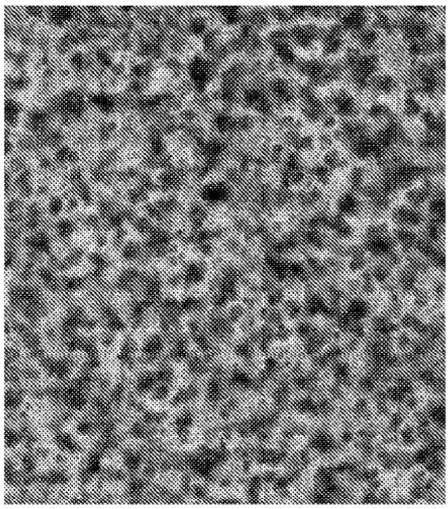 Individualized high purity hepatocellular carcinoma stem cells, methods and use of the same