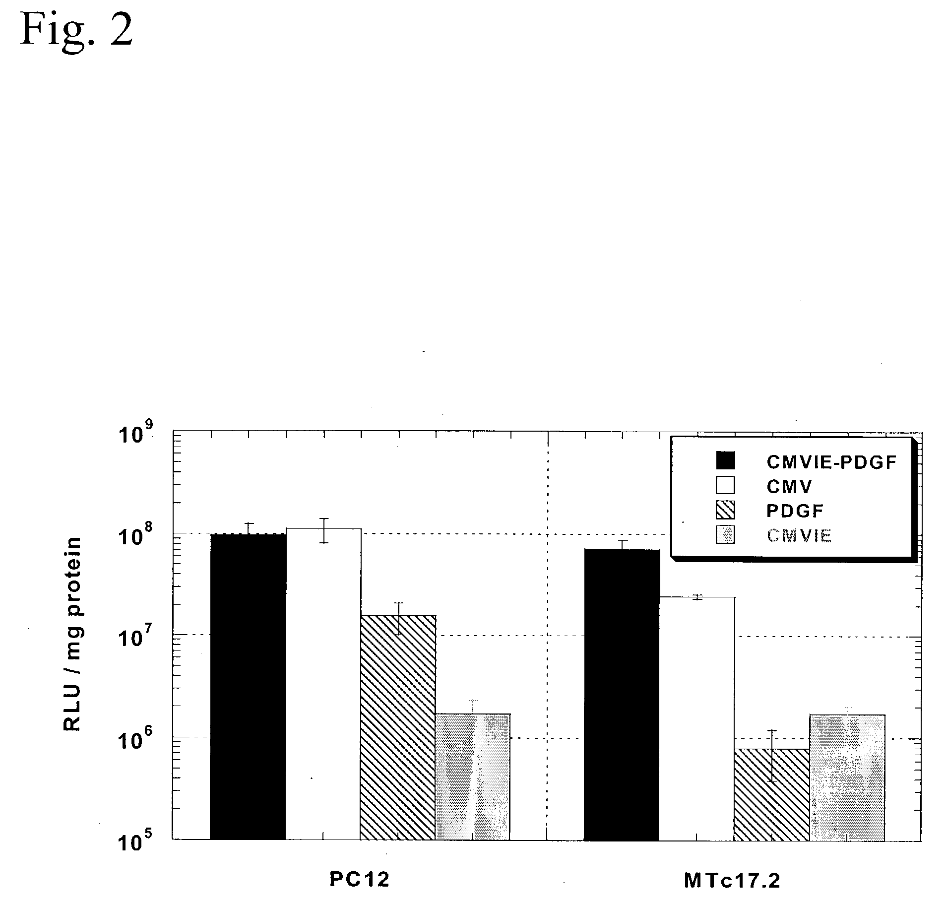 Promoter construct for gene expression in neuronal cells