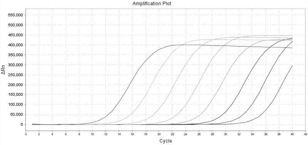 Kit and detection method for detection of human KRAS gene mutations