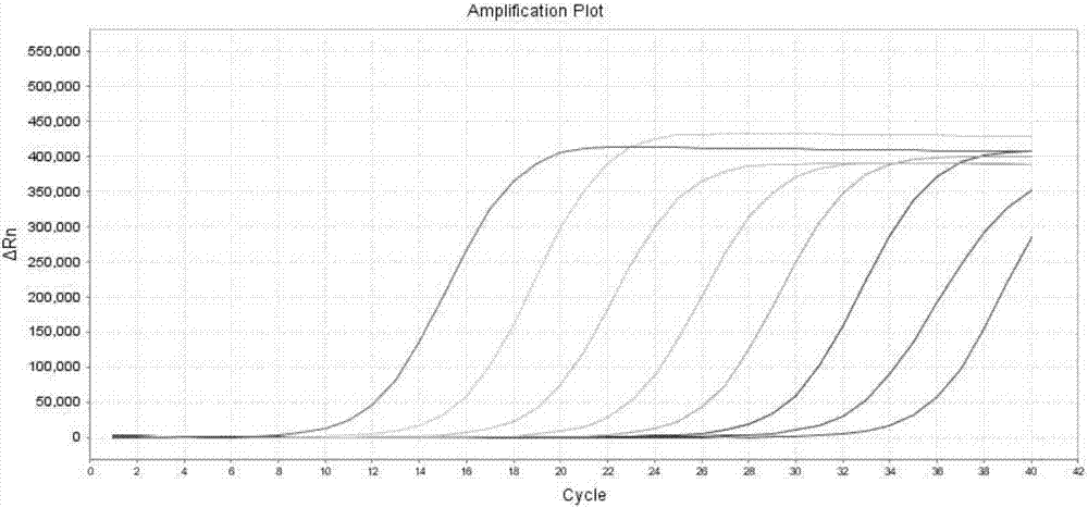 Kit and detection method for detection of human KRAS gene mutations