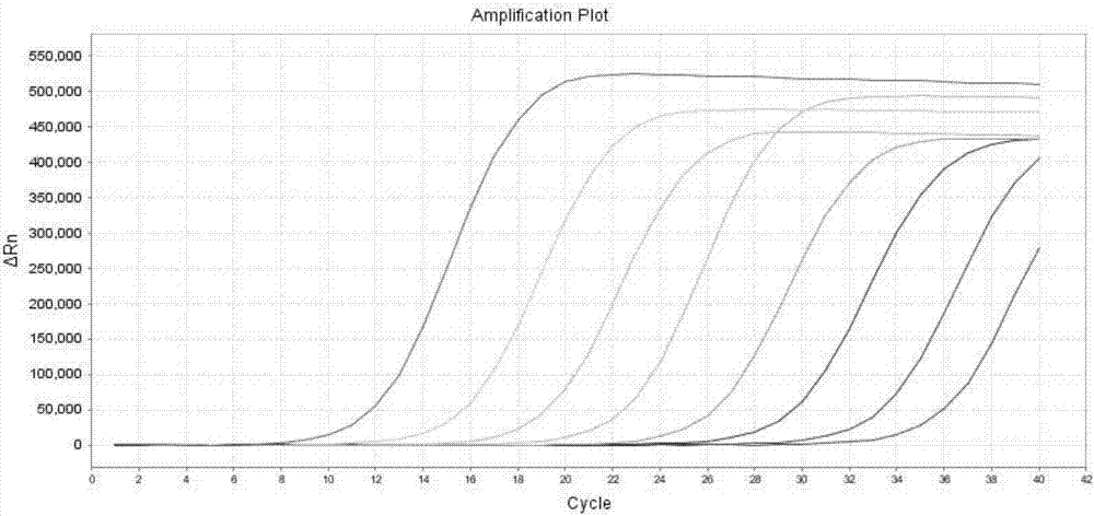 Kit and detection method for detection of human KRAS gene mutations