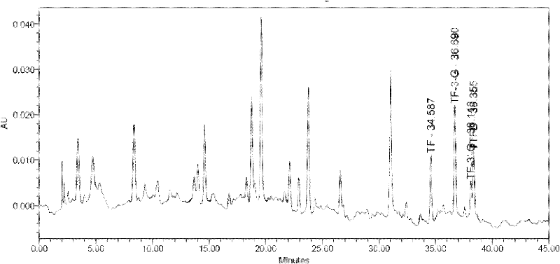 Method for preparing theaflavin by dynamic continuous oxidation on immobilized polyphenol oxidase