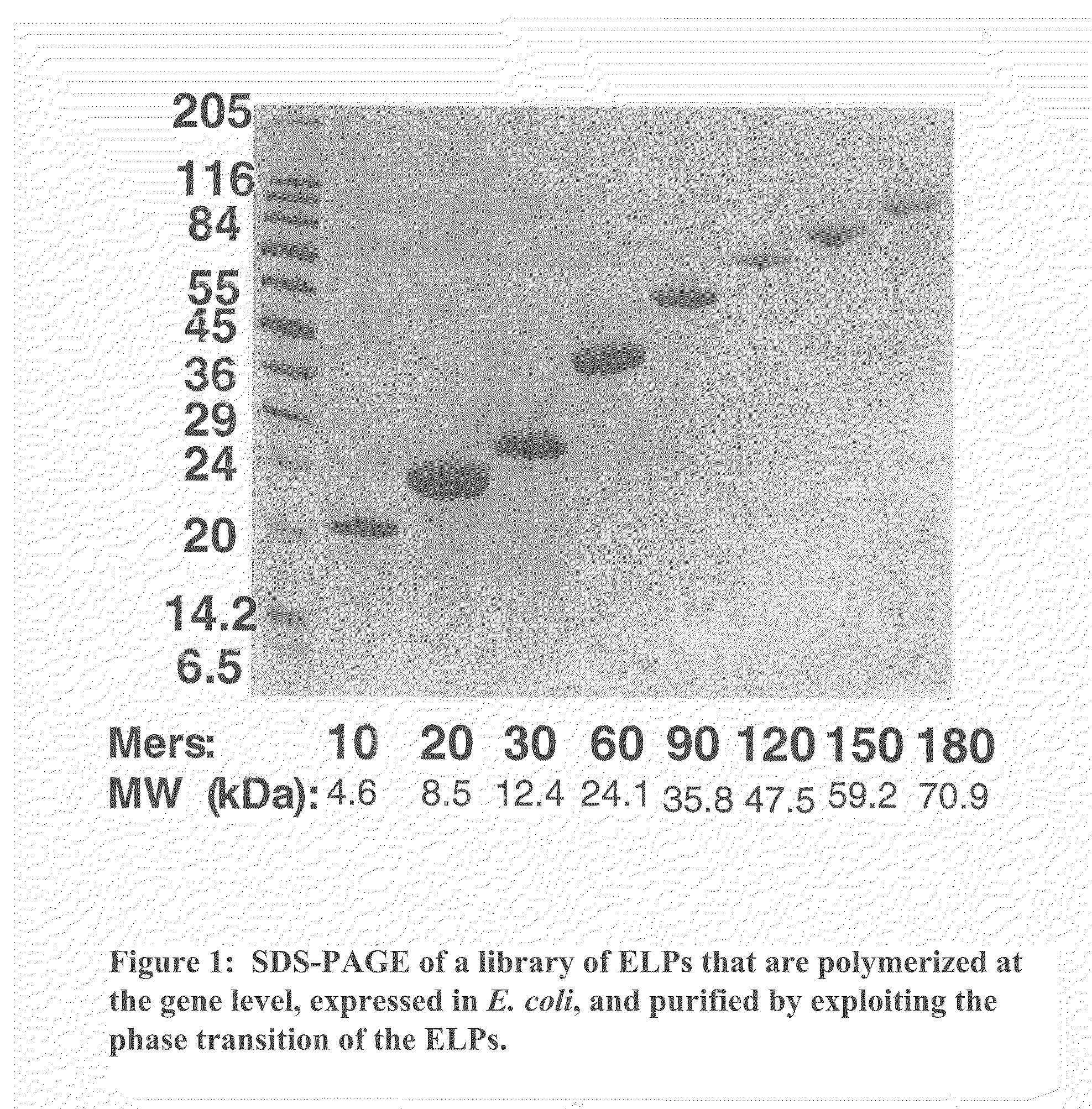 Methods and compositions for delivering active agents with enhanced pharmacological properties