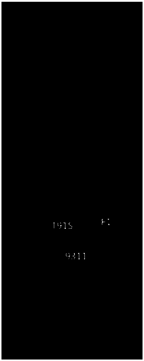 Molecular marker and application thereof