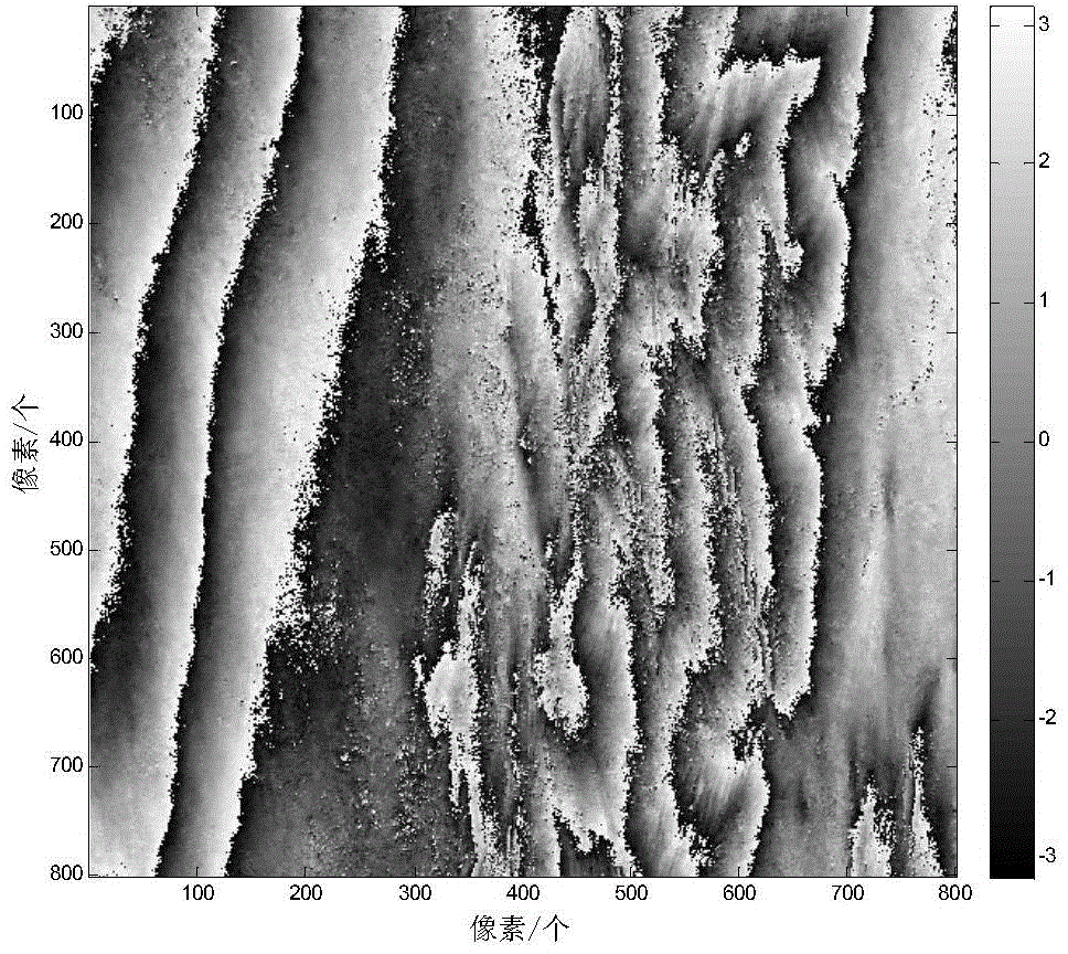 Preprocessing and adaptive genetic simulated annealing algorithm-based phase unwrapping method