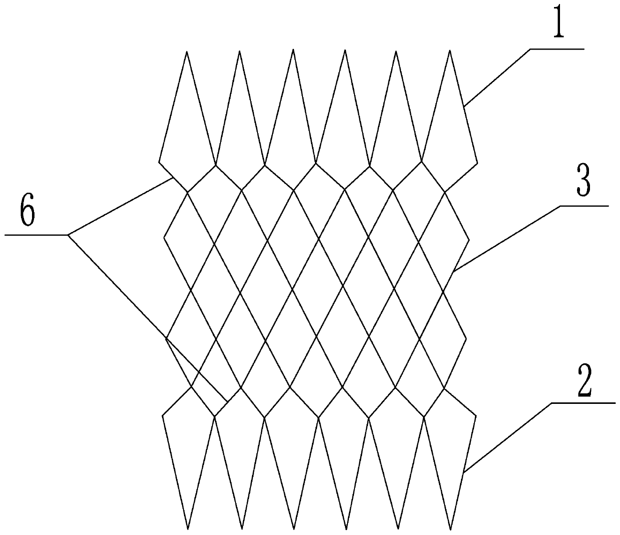 A kind of biodegradable anti-displacement esophagus stent and preparation method