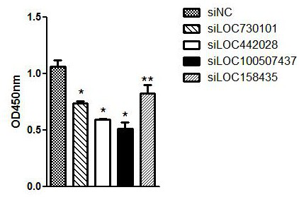 Molecular marker related to incidence and development of laryngeal carcinoma