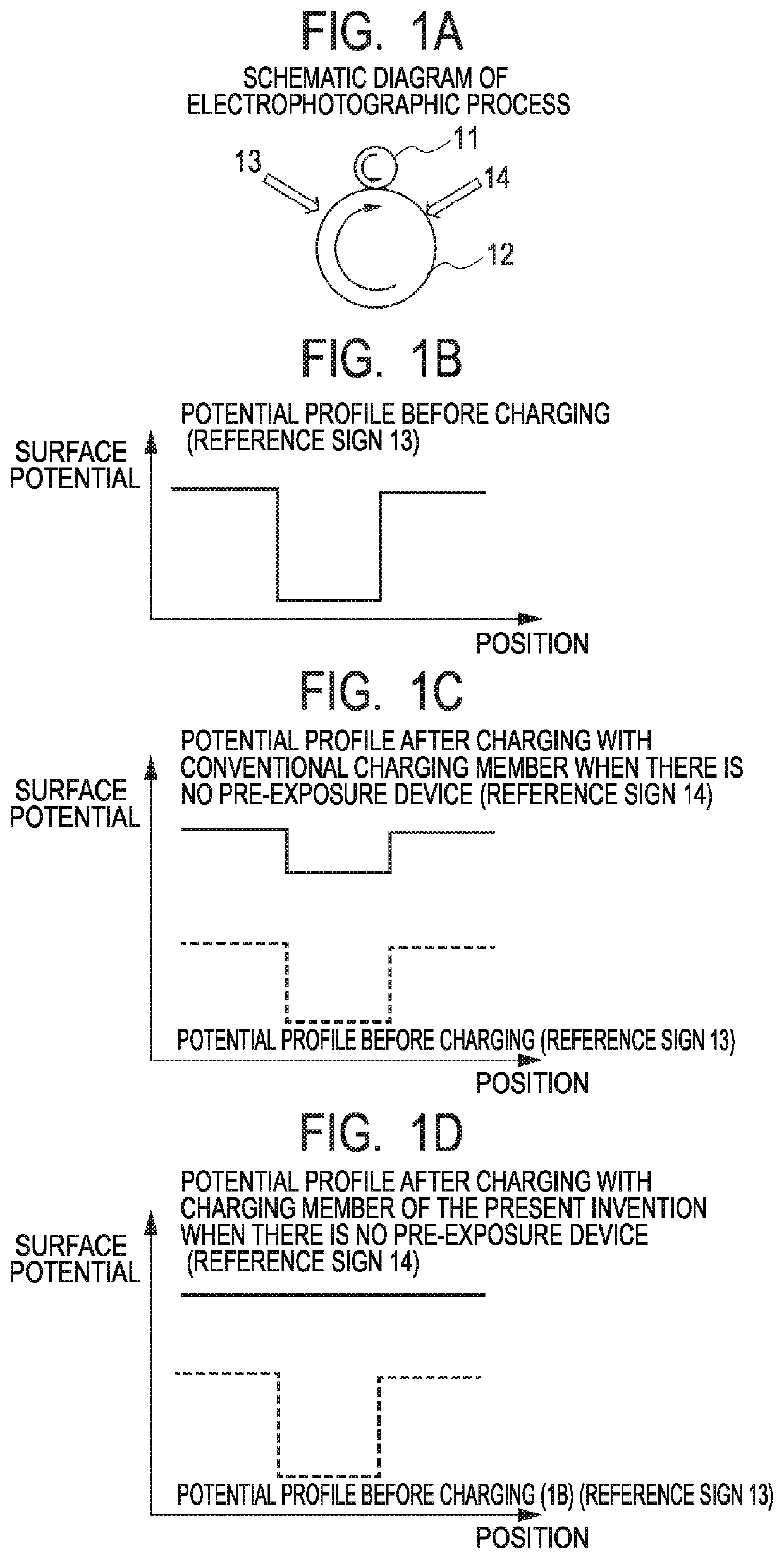 Electroconductive member, process cartridge, and image forming apparatus