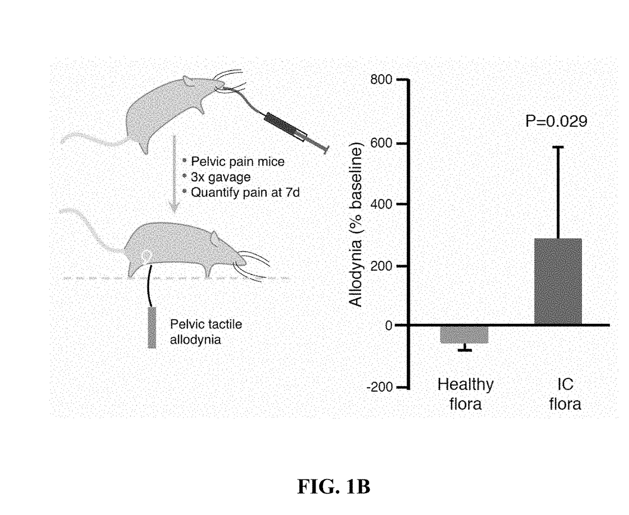 Altered microbiome of chronic pelvic pain