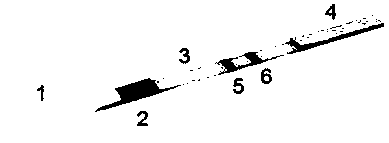 Novel 2019 coronavirus antigen detection reagent and preparation method thereof