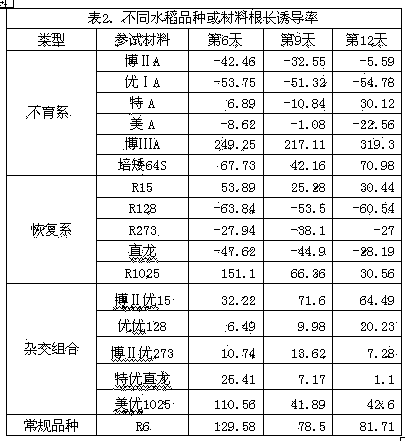 Method of raising seedlings in greenhouse by using rice salt tolerance differences to achieve impurity removal and purity preservation