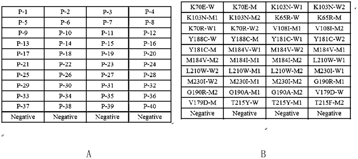 DNA chip for detecting main drug-resistant mutation of HIV reverse transcriptase regions, preparation thereof and application thereof