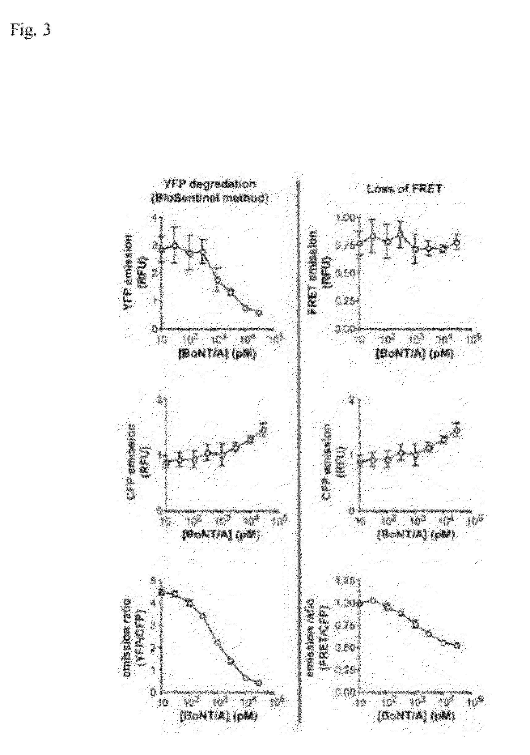 Non-fret botulinum assay