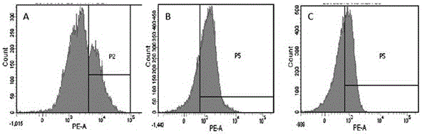 Preparation method of high-efficiency killer cell preparation adopting immunodetection point dual-block CTL (cytotoxic lymphocyte)