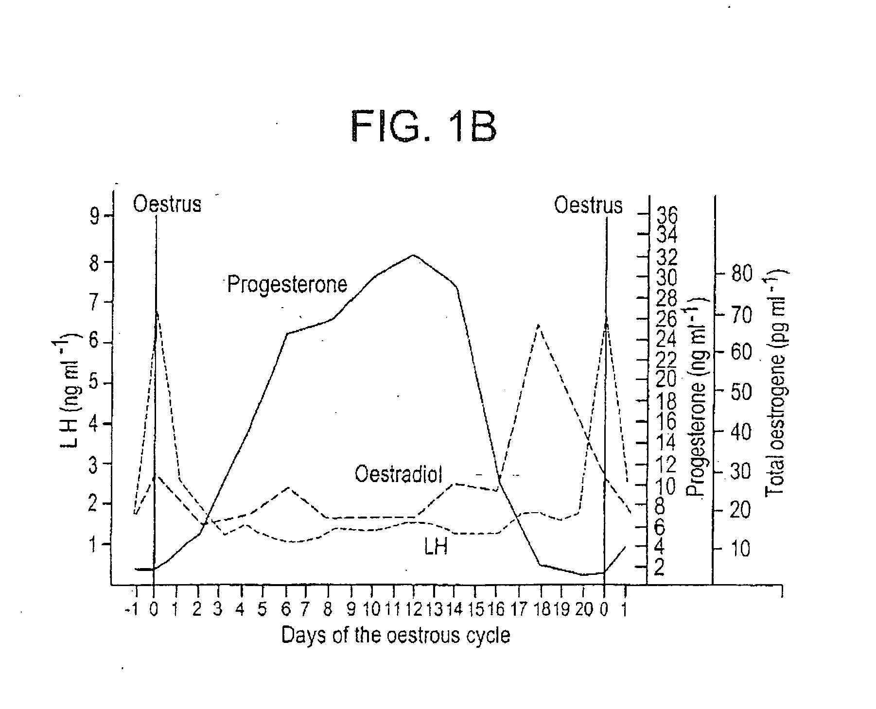 Process for the synchronization of ovulation for timed breeding without heat detection