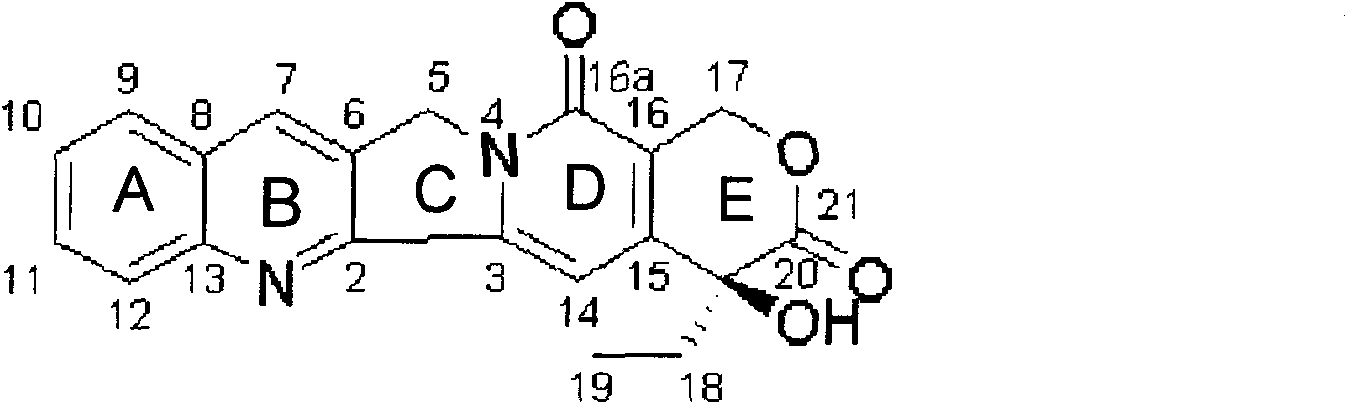 Method for synthesizing camptothecin serving as active intermediate of anti-tumor medicament