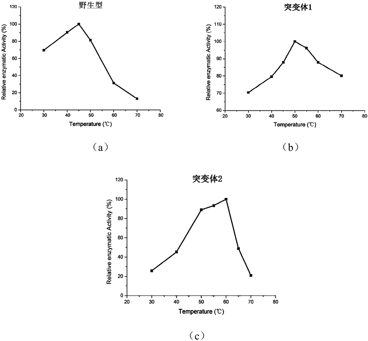 Phospholipase D mutant, recombinant genetically engineered bacteria and preparation method and application thereof