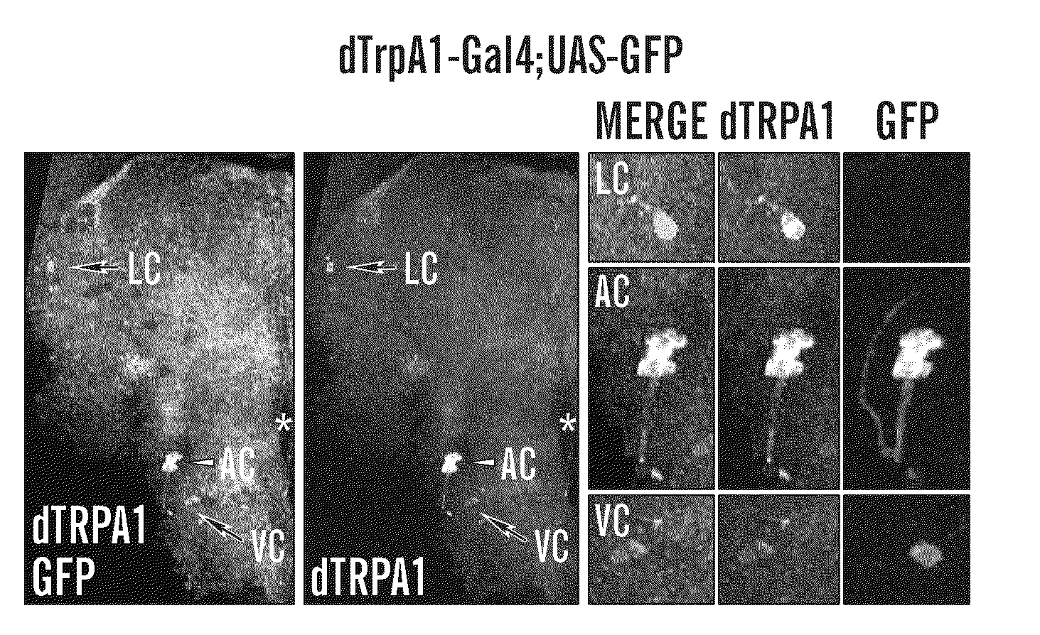 Methods of insect control