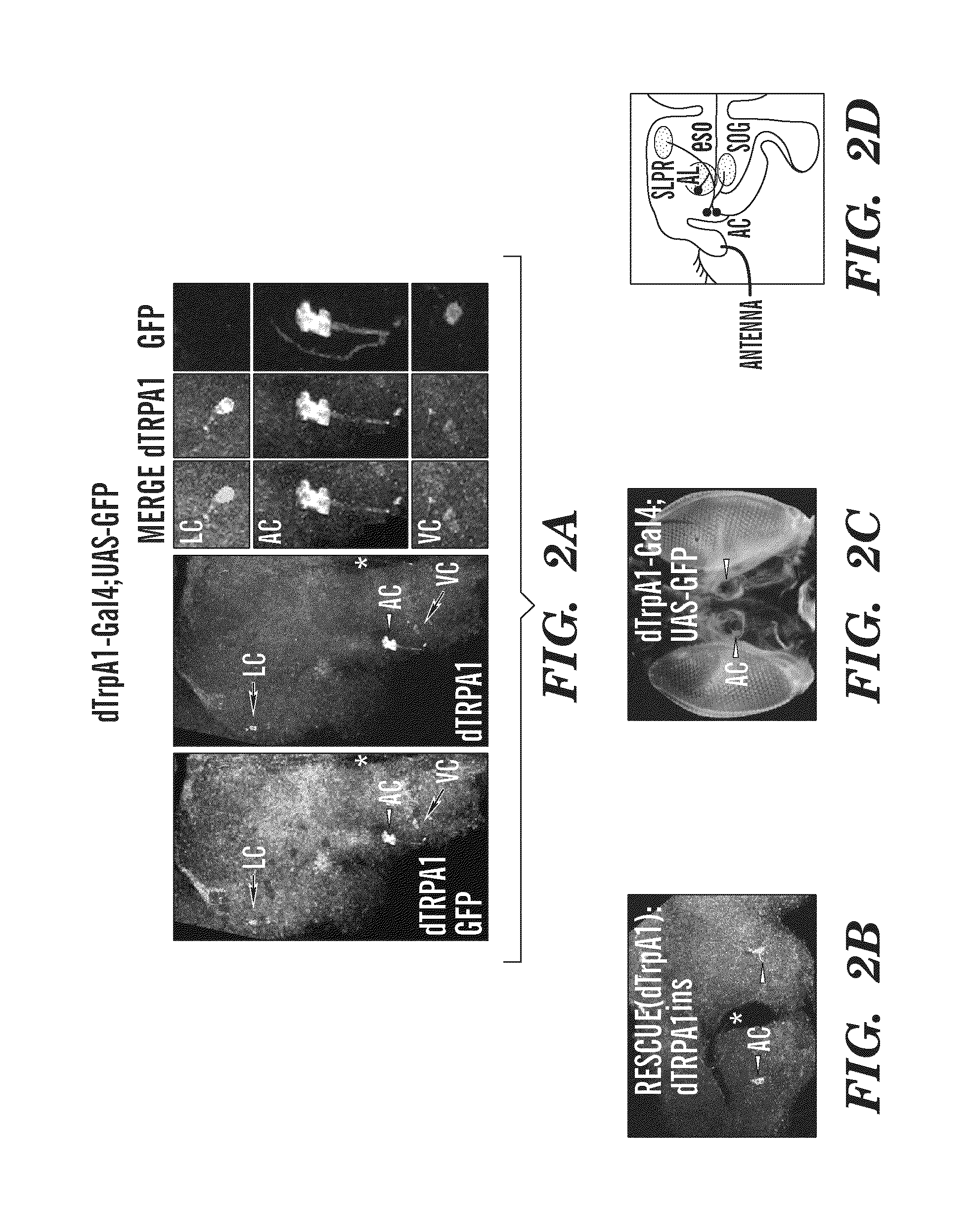 Methods of insect control