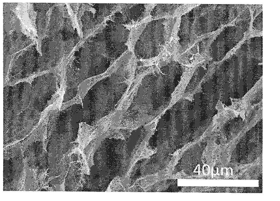 Preparation method of graphene three-dimensional material