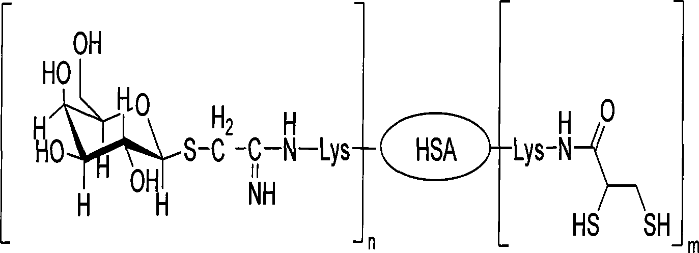 Technetium-99m marked dimercapto propionamido novel lactose albumin complexes, preparation and use thereof