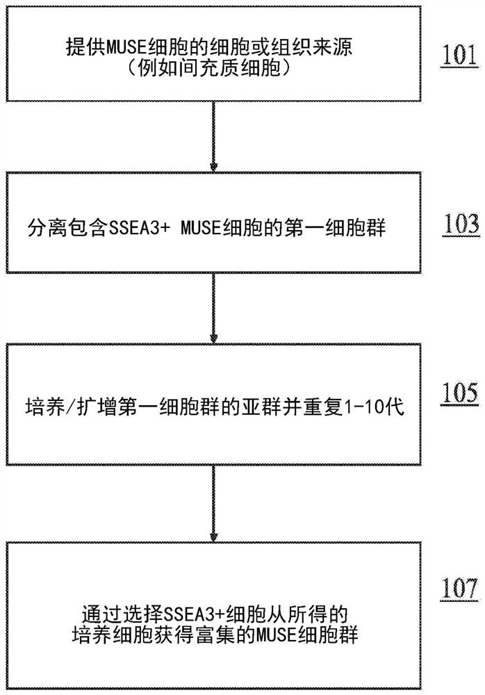 Methods for enriching populations of cells