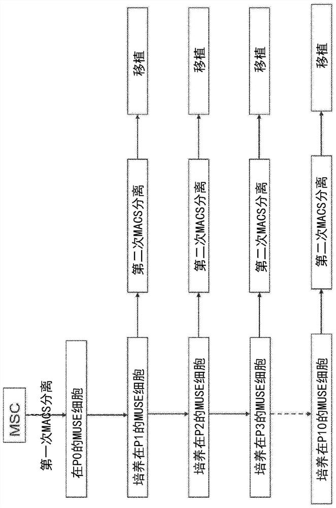 Methods for enriching populations of cells