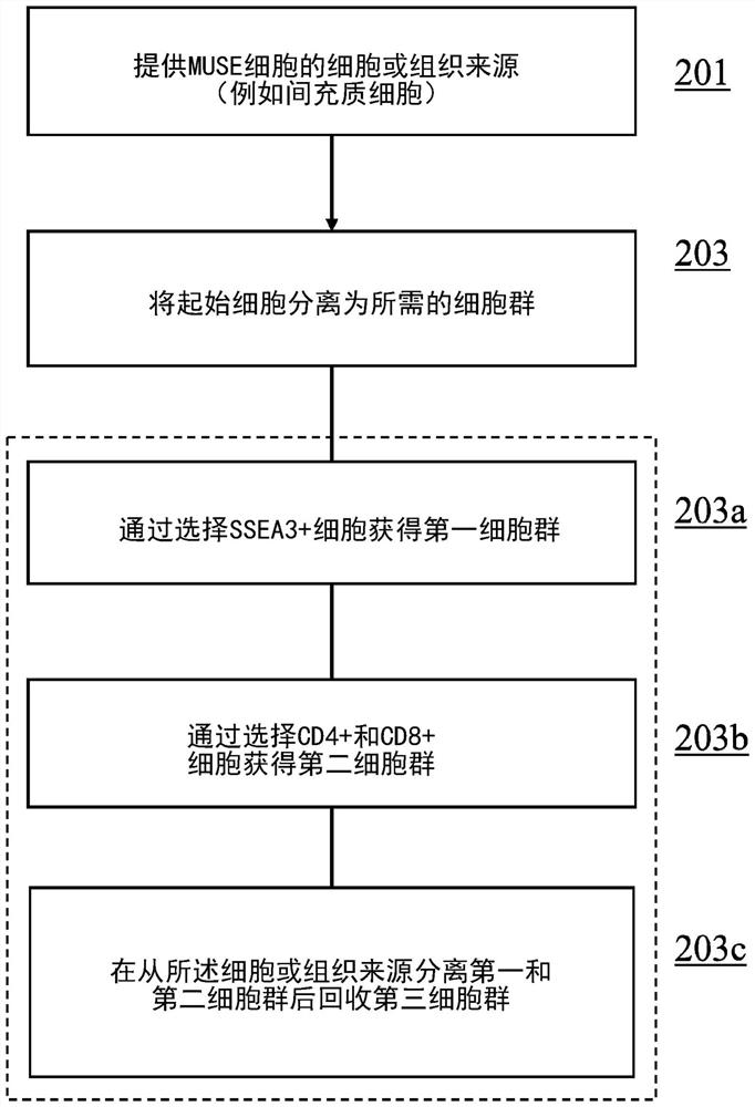 Methods for enriching populations of cells