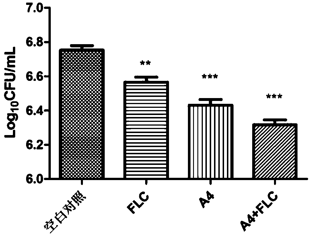 Beta- tetrahydro-carboline antifungal drug and preparation method and application thereof