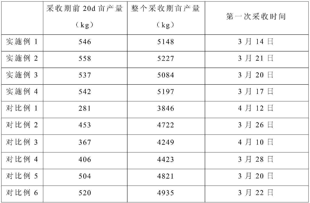 Cultivation method for shortening growth period of bitter gourds