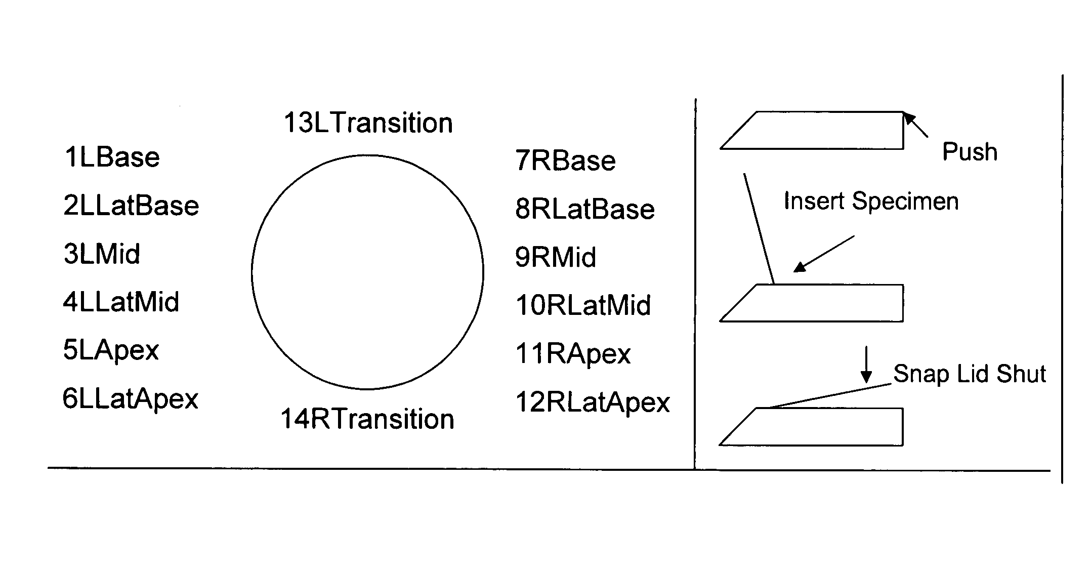 Kit for taking biopsies, autopsies, excisions, and resections and methods thereof