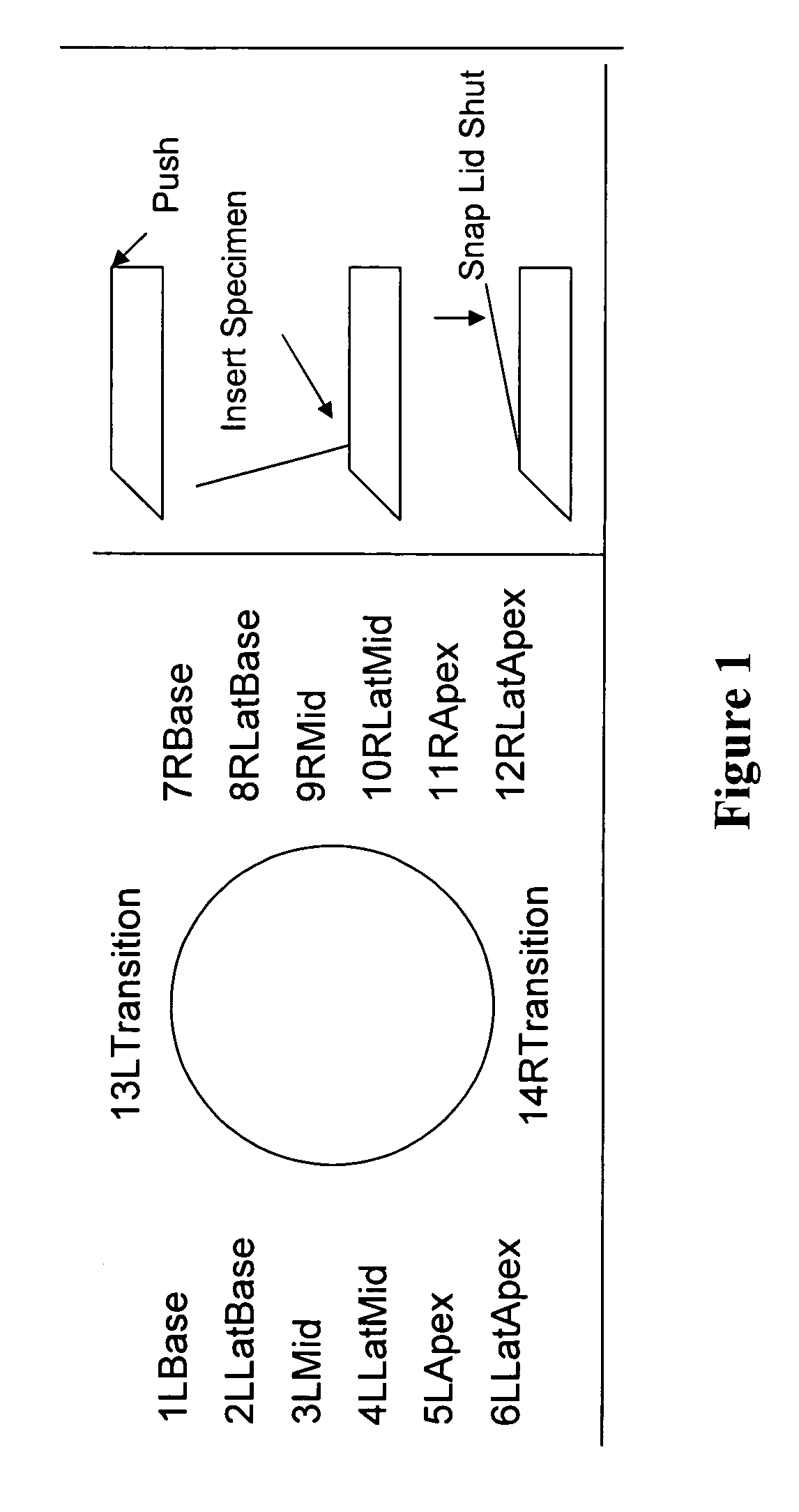 Kit for taking biopsies, autopsies, excisions, and resections and methods thereof