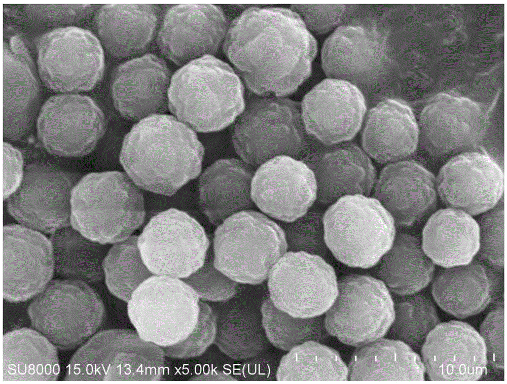 Method for preparing monodisperse carbon microspheres by using cane sugar as carbon source